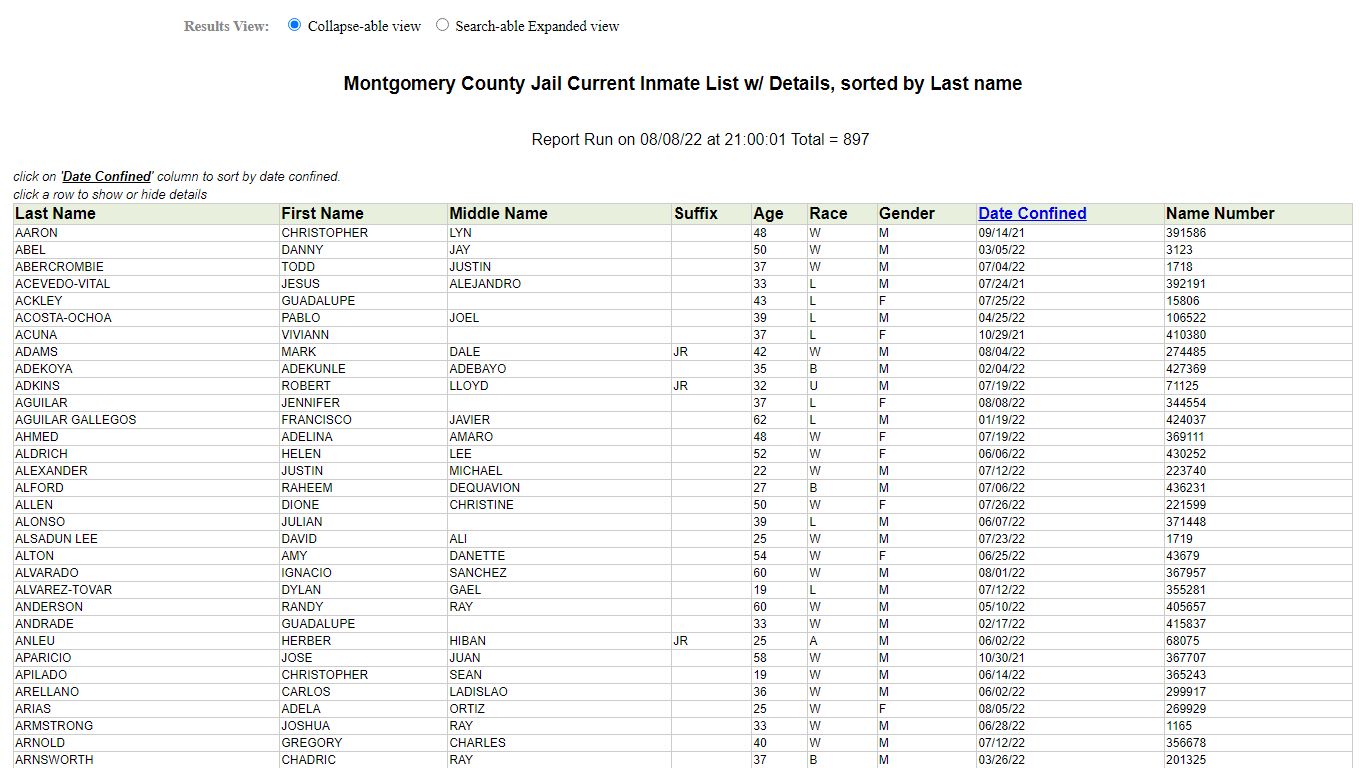 Jail Roster